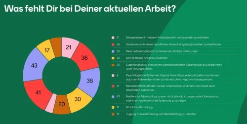 Auswertung der Frage: Was fehlt Dir bei Deiner aktuellen Arbeit?